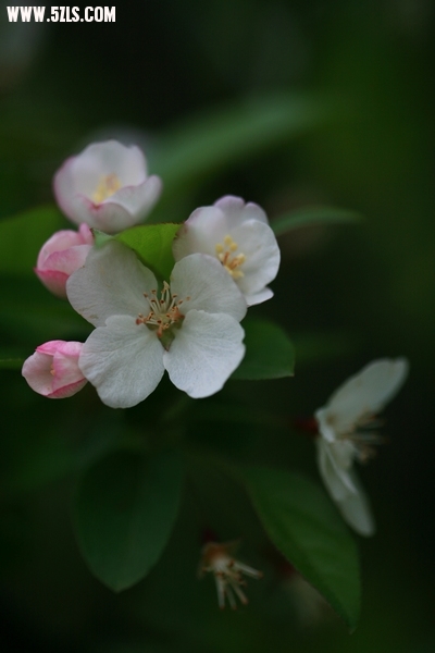 Ƭ027.jpg