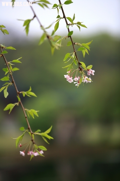 Ƭ029.jpg