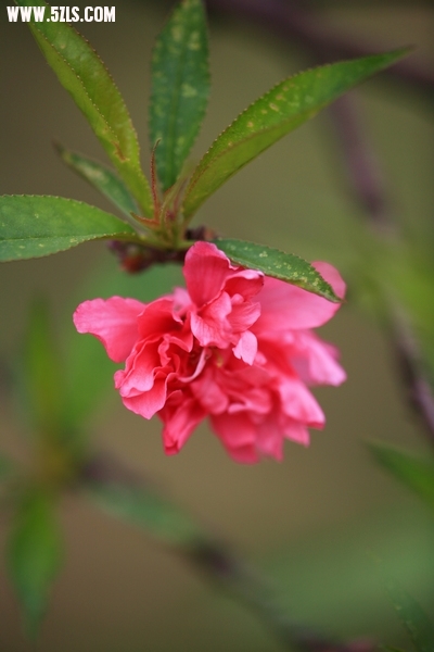 Ƭ025.jpg