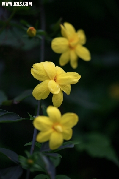 Ƭ028.jpg