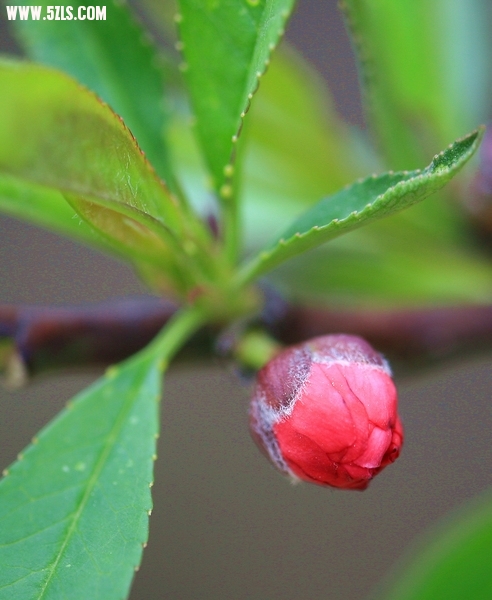 Ƭ026.jpg