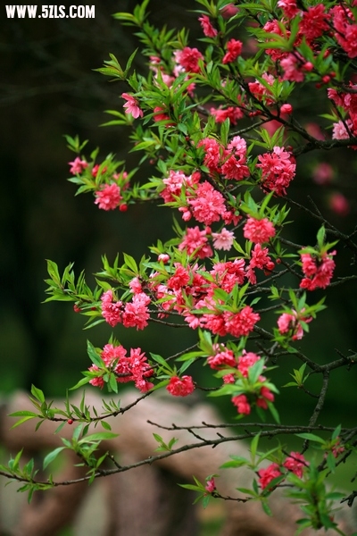Ƭ023.jpg