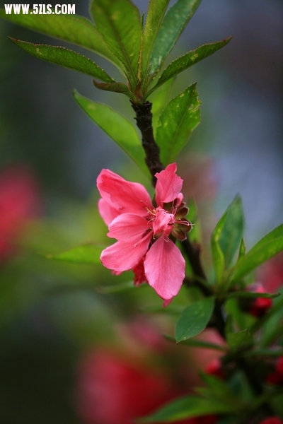Ƭ024.jpg