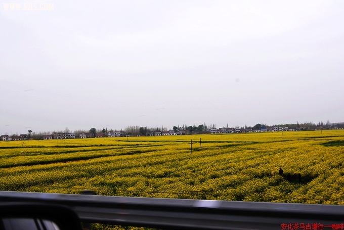 DSC_005_Ӱ_1.jpg
