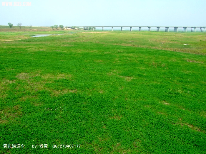 DSCF1058.jpg