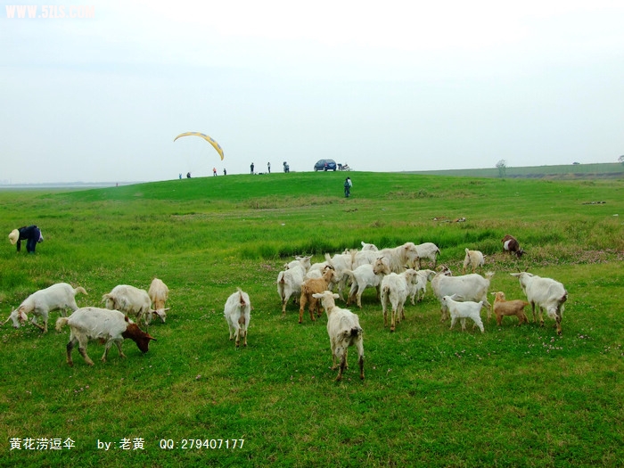 DSCF1154.jpg