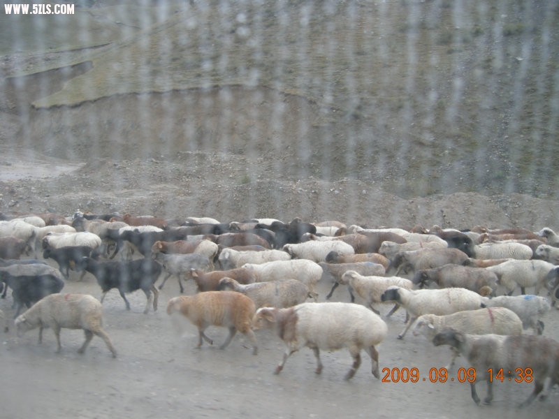 DSCN2739.JPG