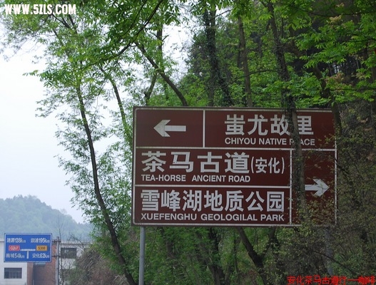 DSC_011_Ӱ_1.jpg
