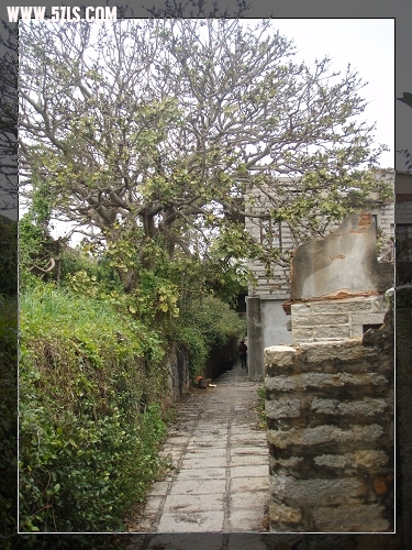 P2160435-1.jpg