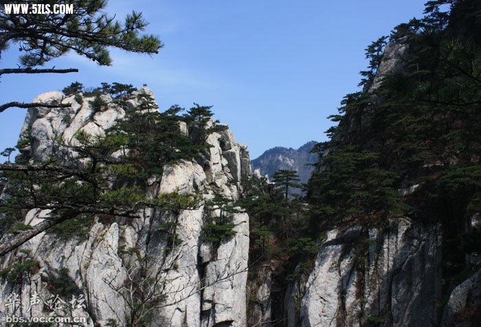 200904241557575991-845605.jpg