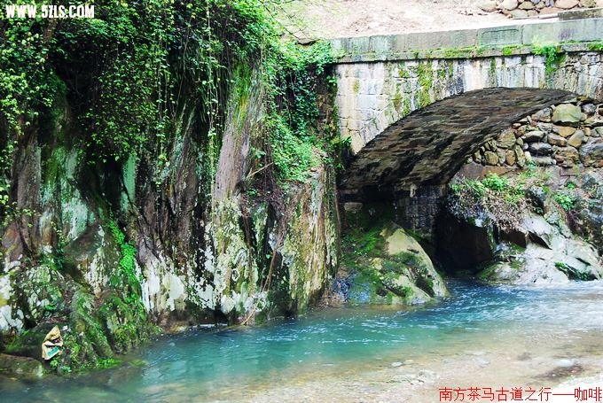 DSC_037_Ӱ_1.jpg