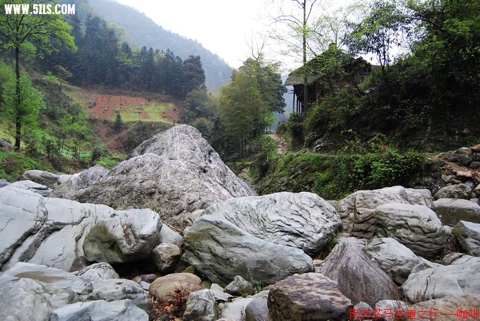 DSC_040_Ӱ_1.jpg