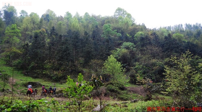 DSC_042_Ӱ_1.jpg