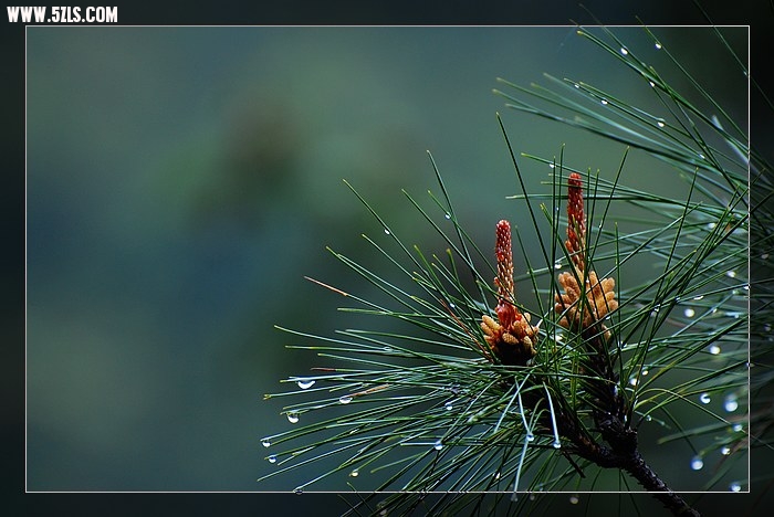 DSC_4842.jpg