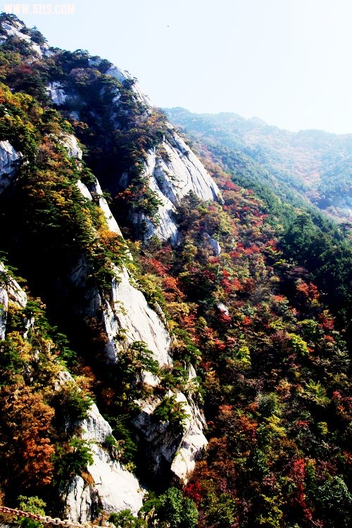 20091028115734.jpg