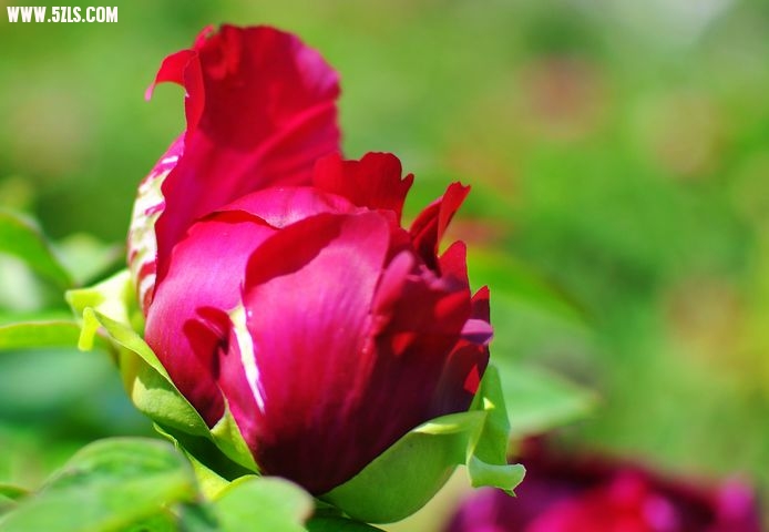 DSC_0005.jpg