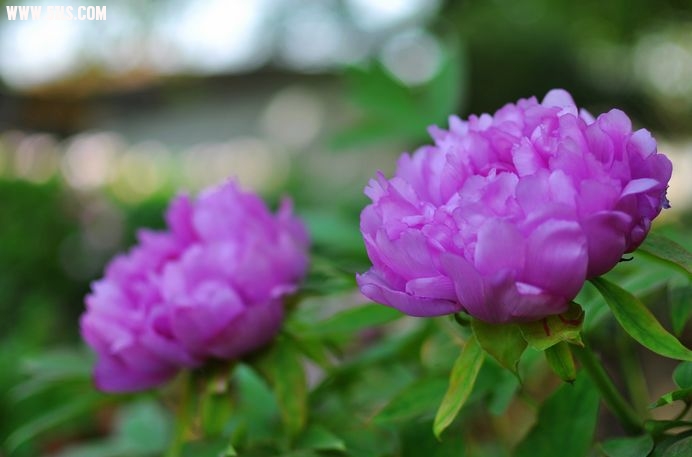 DSC_0013.jpg