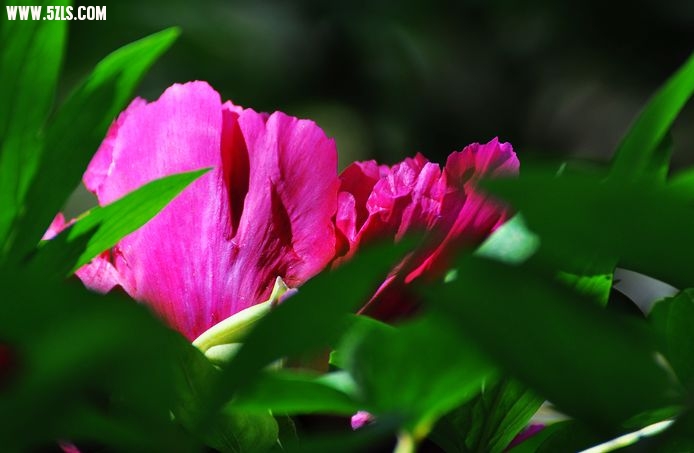 DSC_0024.jpg