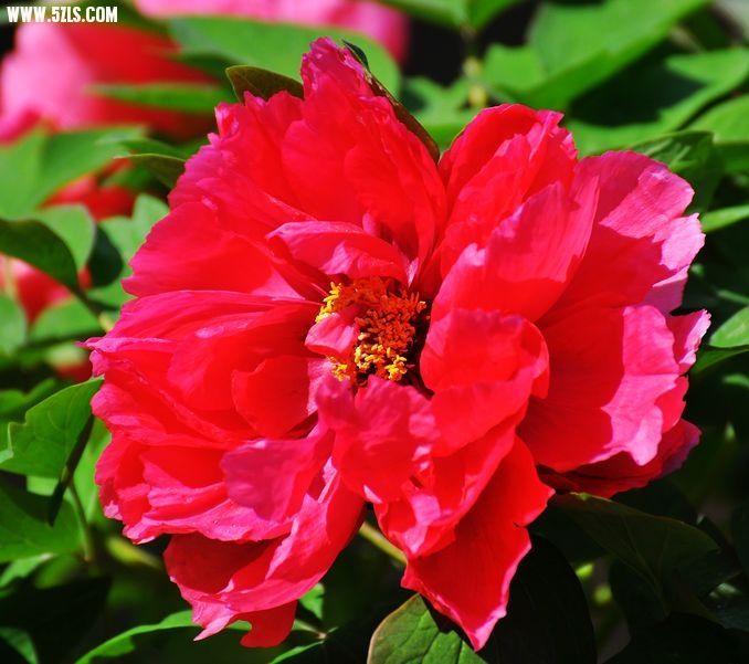 DSC_0027.jpg