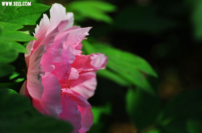 DSC_0076.jpg