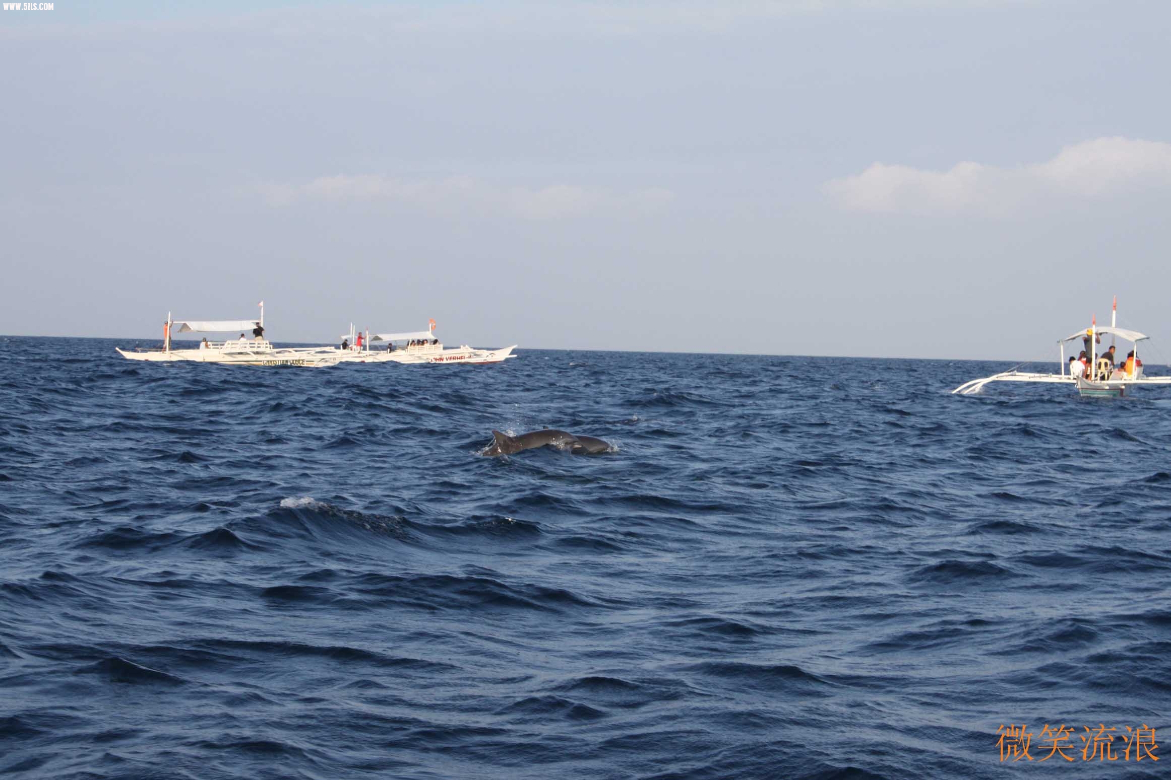 IMG_3737.jpg