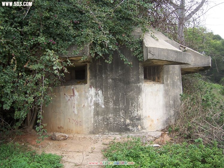 100_6455.JPG