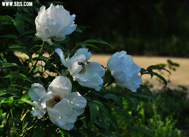 DSC_0173.jpg