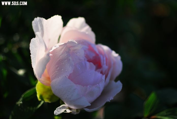 DSC_0208.jpg