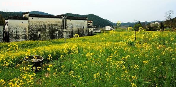 !cid_image017.jpg