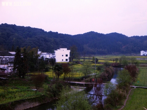 DSC00386.JPG