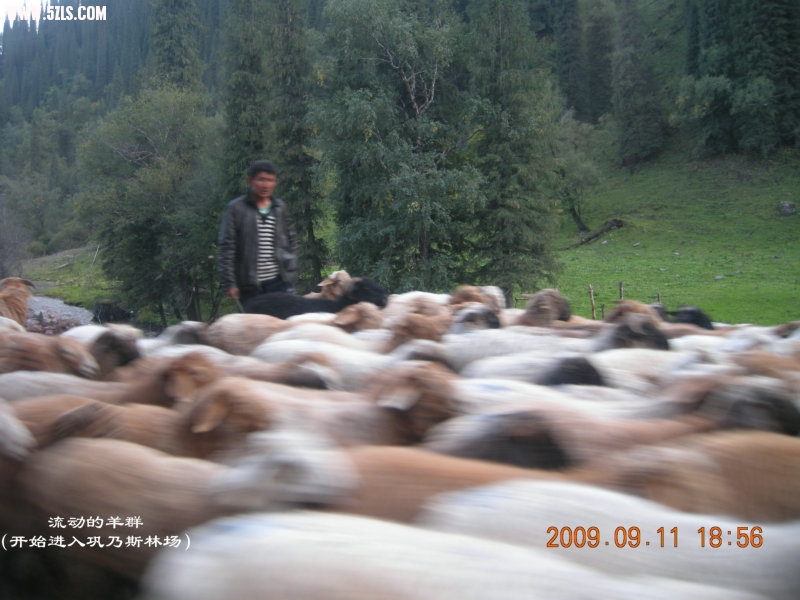 DSCN2838.JPG