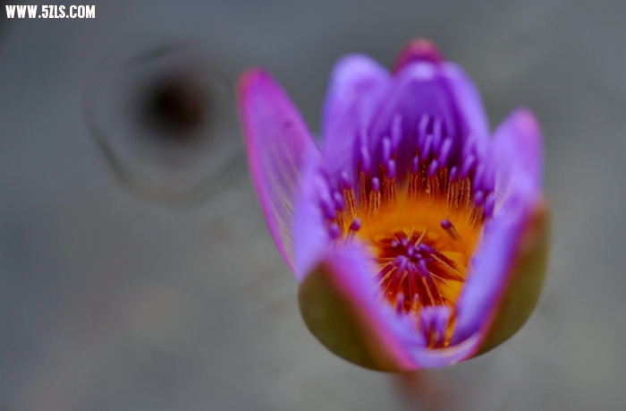 DSC_5424.jpg