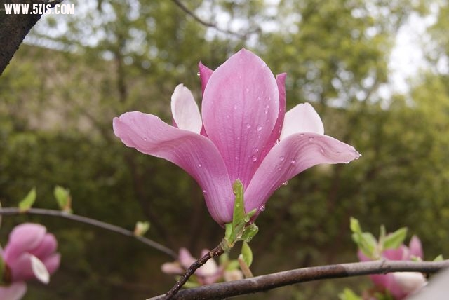 DSC00794.JPG