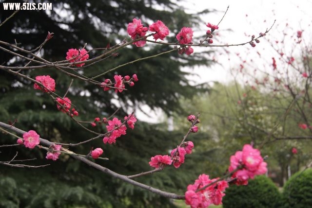DSC00820.JPG