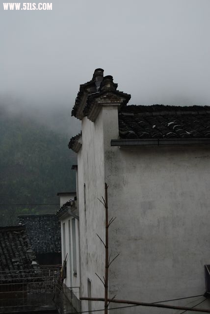 ˷ 538.jpg