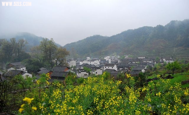 ˷ 564.jpg