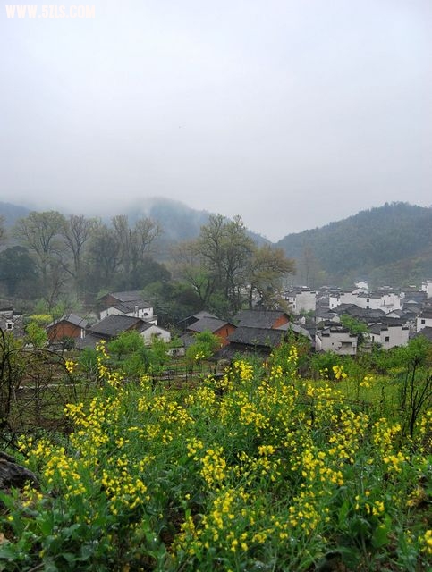 ˷ 565.jpg