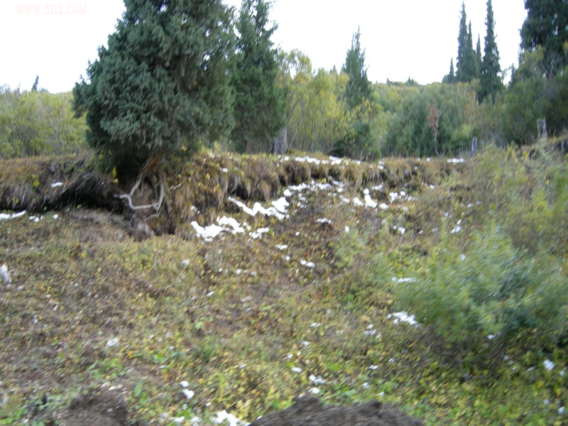 DSCN2869.JPG