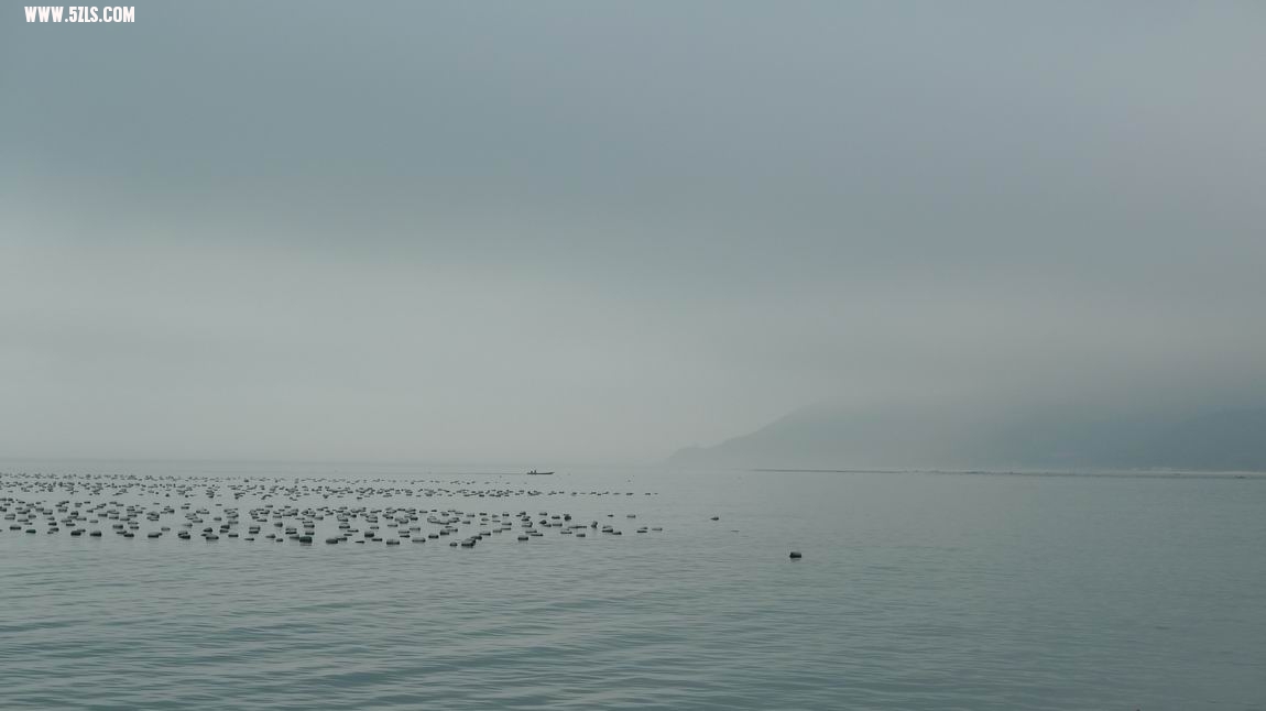 P1020031.JPG