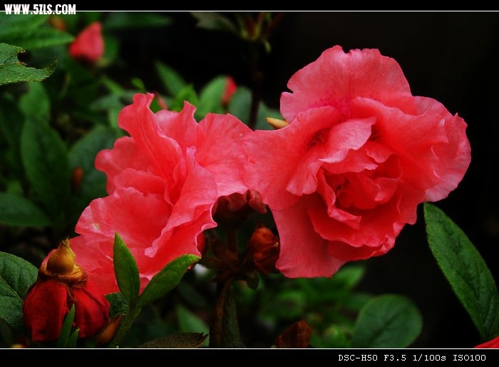 DSC05704.jpg