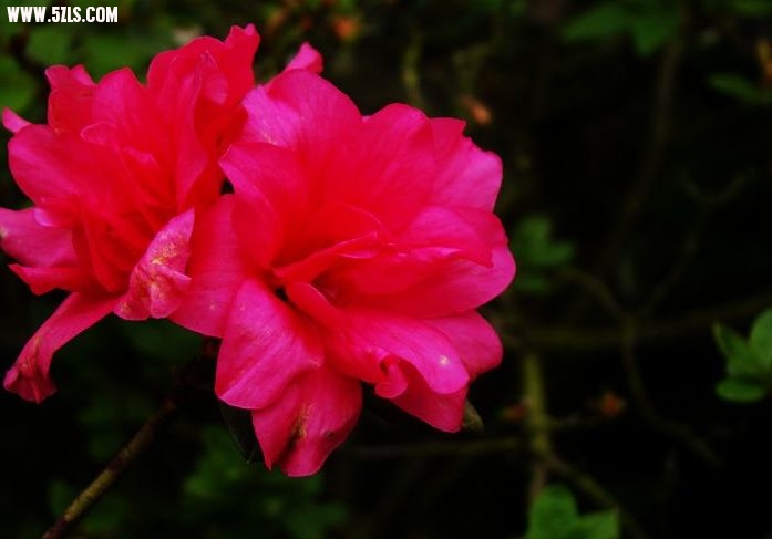 DSC05713.jpg