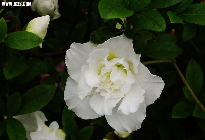 DSC05722.jpg