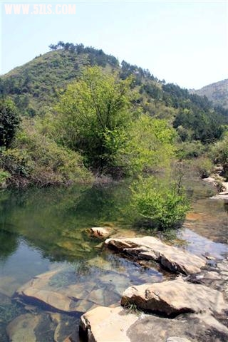 IMG_2521 () (С).JPG