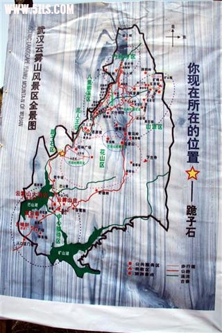 IMG_2519 () (С).JPG