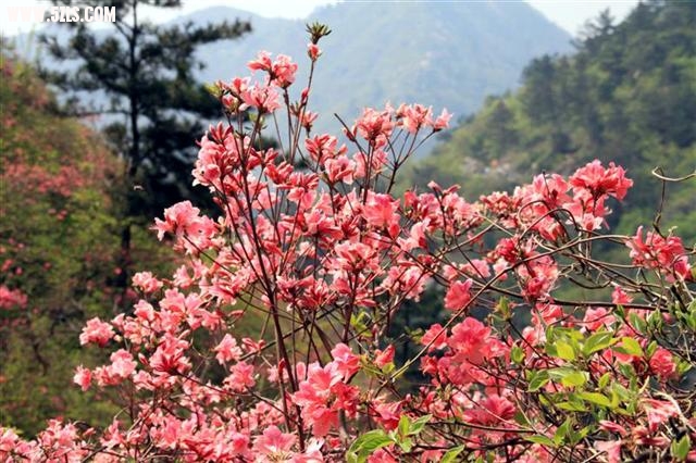 IMG_2578 () (С).JPG