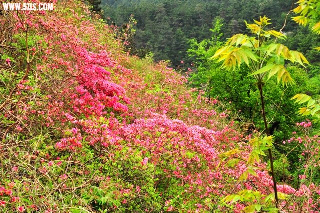 Ƭ 053.jpg
