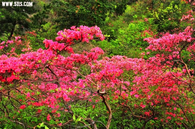 Ƭ 041.jpg