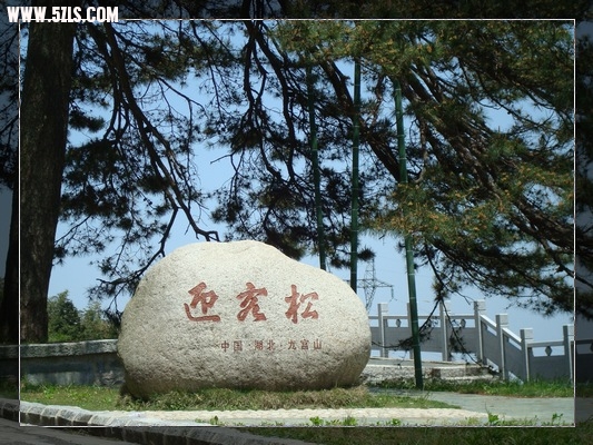 Recoverd_jpg_file(2765).jpg