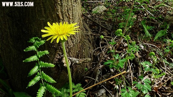 P1110613_光影_1.jpg