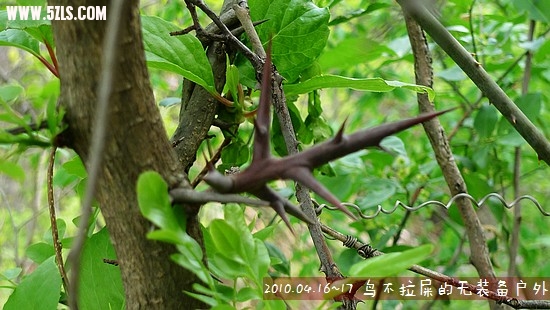 P1110547_光影_1.jpg